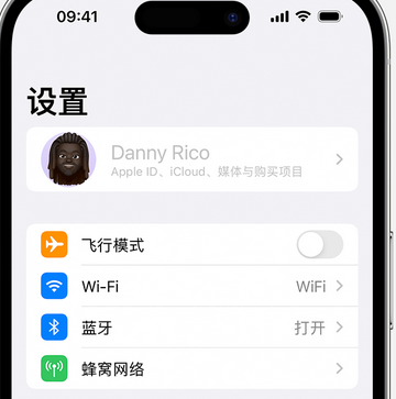 满城appleID维修服务iPhone设置中Apple ID显示为灰色无法使用 