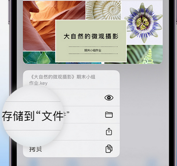 满城apple维修中心分享iPhone文件应用中存储和找到下载文件