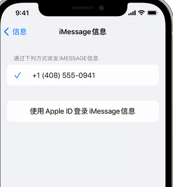 满城apple维修iPhone上无法正常发送iMessage信息 