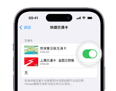 满城apple维修点分享iPhone上更换Apple Pay快捷交通卡手绘卡面 