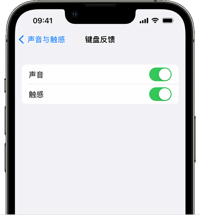 满城苹果14维修店分享如何在 iPhone 14 机型中使用触感键盘 