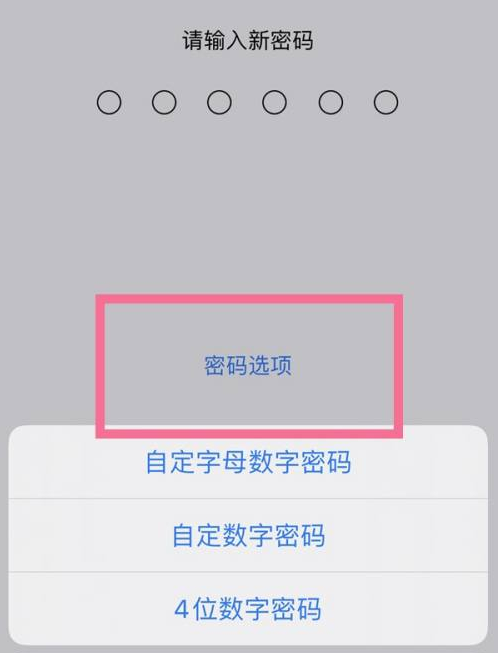 满城苹果14维修分享iPhone 14plus设置密码的方法 