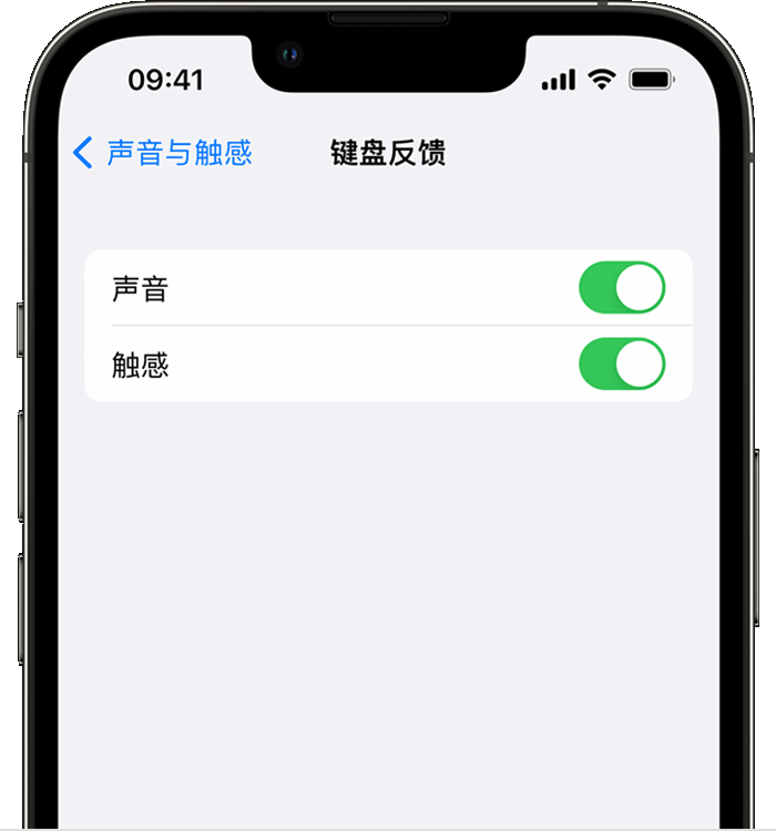 满城苹果14维修分享iPhone 14 系列机型如何开启键盘声音或触感反馈 