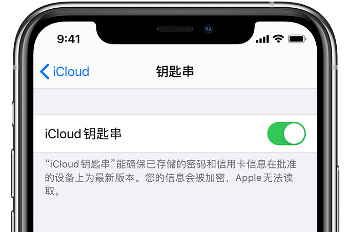 满城苹果手机维修分享在 iPhone 上开启 iCloud 钥匙串之后会储存哪些信息 