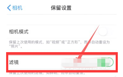 满城苹果13维修分享iPhone13拍照有绿点是怎么回事 