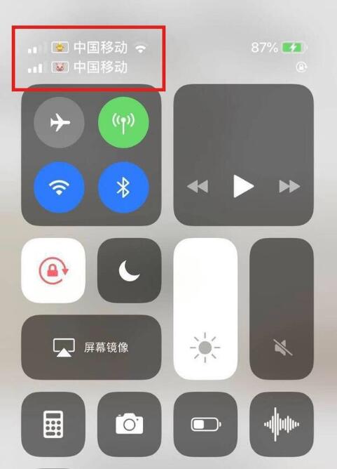 满城苹果手机维修分享为 iPhone 12 双卡设置标签 