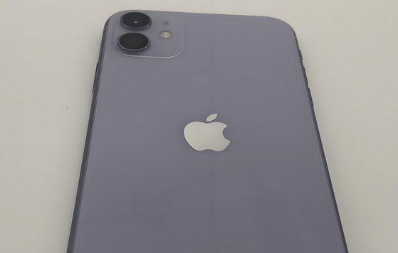 满城苹果11系统维修分享iPhone11手机系统崩溃无法开机如何解决 